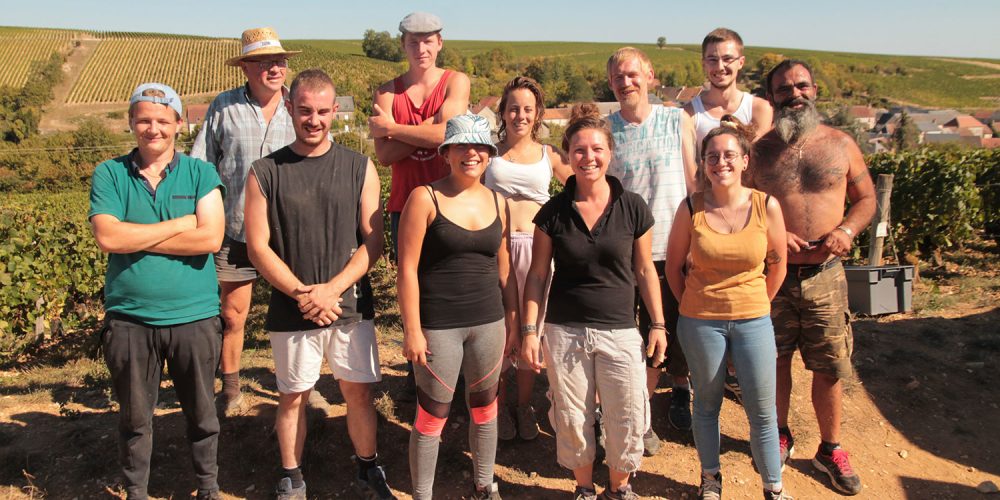 Vendanges 2020