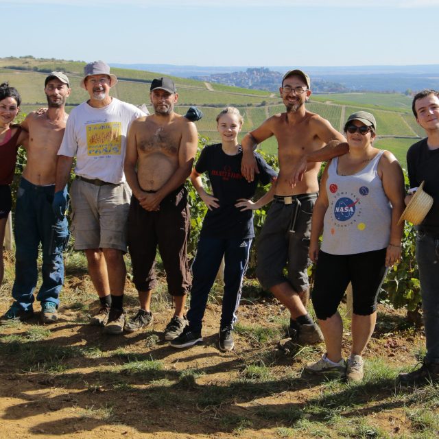 Vendanges 2022